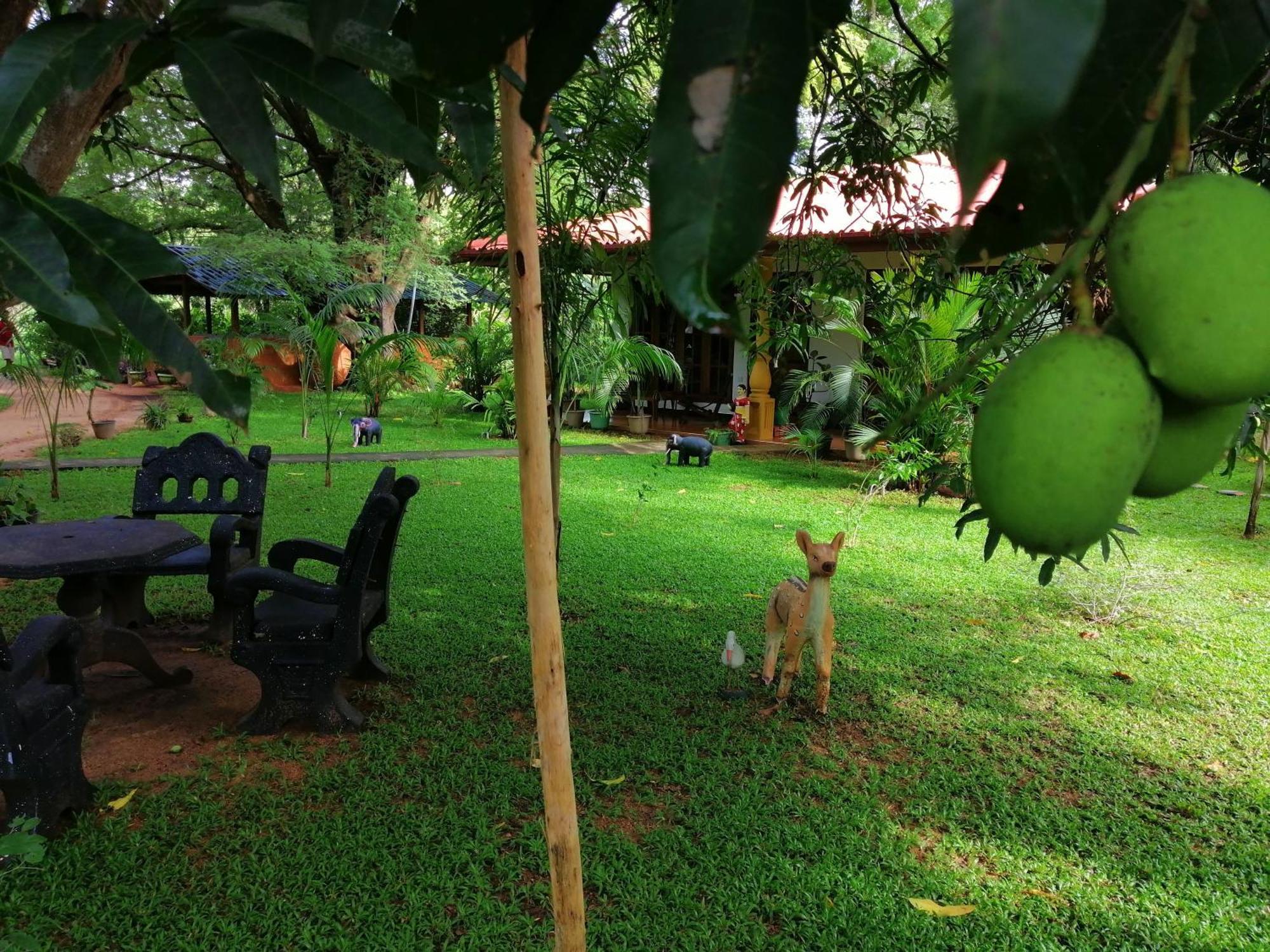 Sigiriya Ranasinghe Nature Villa Exterior photo