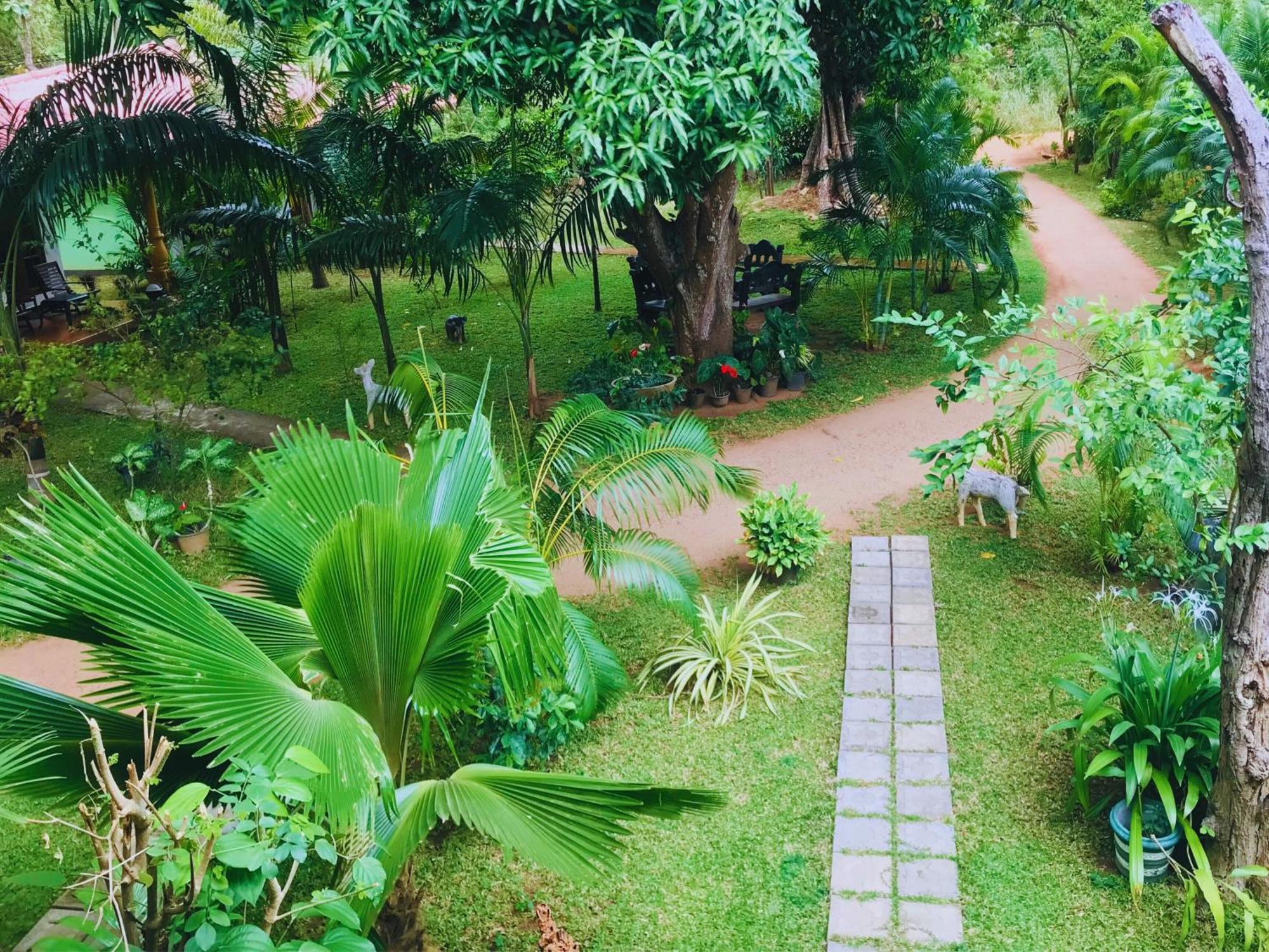 Sigiriya Ranasinghe Nature Villa Exterior photo